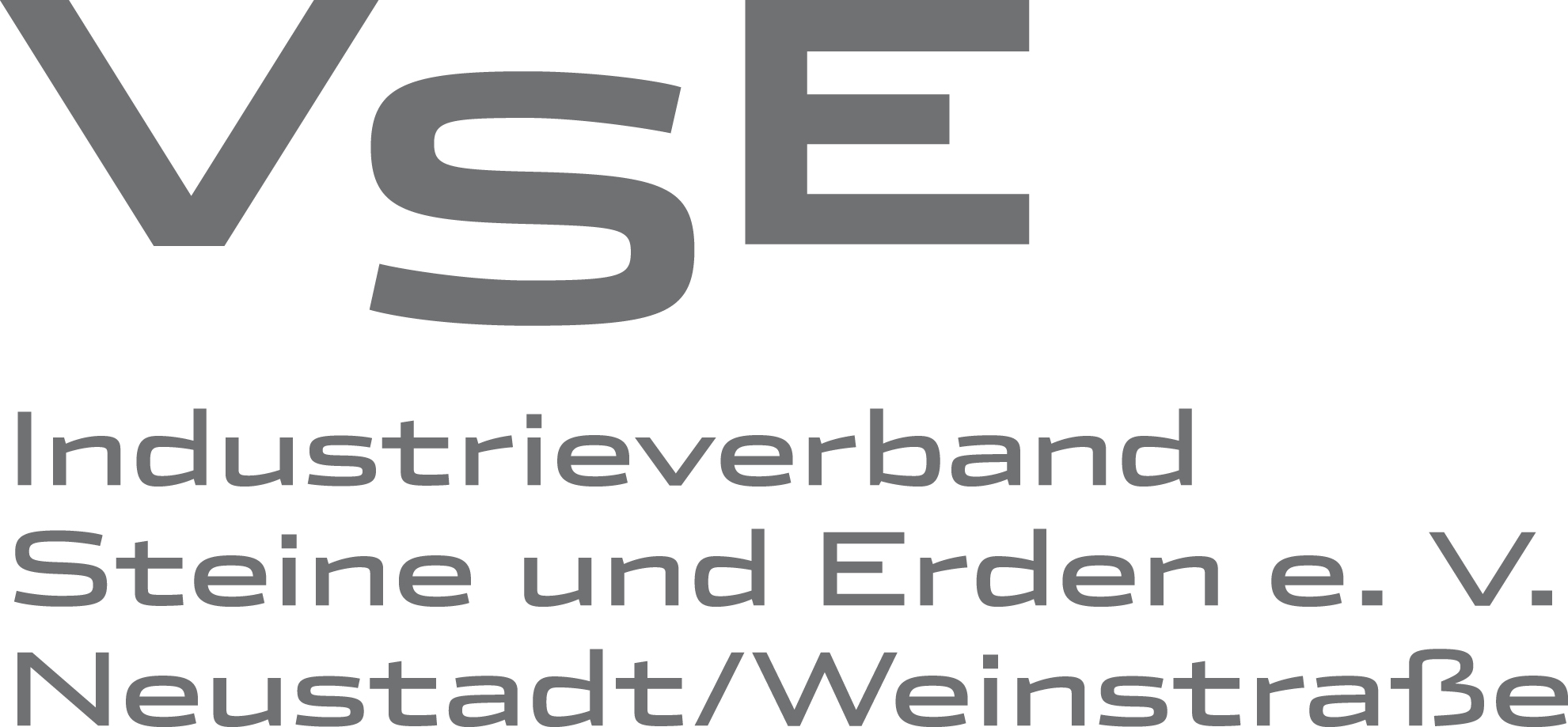 Logo-VSE-2.jpg